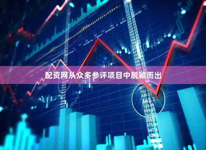 配资网从众多参评项目中脱颖而出
