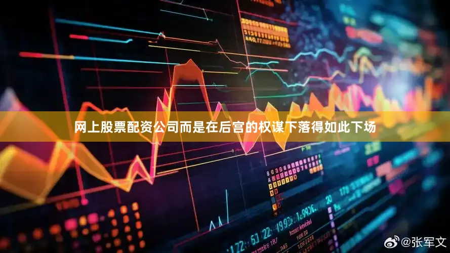 网上股票配资公司而是在后宫的权谋下落得如此下场